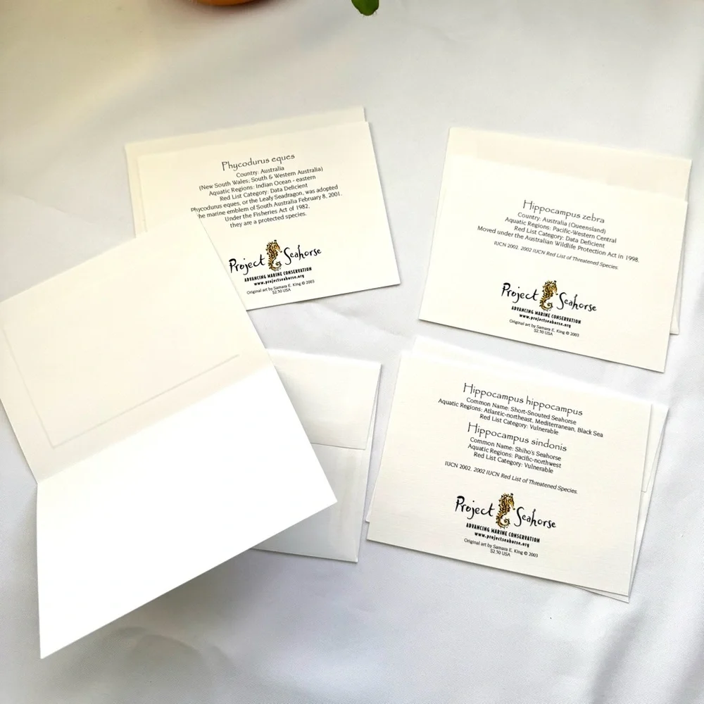 Seahorse conservation greeting cards set of four